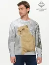 Мужской лонгслив базовый / Кот и снег (P007_P004ooo2695151, P004ooo2695151)