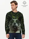 Мужской лонгслив базовый / КОТ (P007_P004ooo2695343, P004ooo2695343)