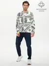 Мужской лонгслив базовый / Доллары (P007_P004ooo2698105, P004ooo2698105)