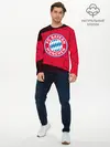 Мужской лонгслив базовый / FC BAYERN / БАВАРИЯ (P007_P004ooo2704707, P004ooo2704707)