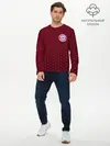 Мужской лонгслив базовый / FC BAYERN / БАВАРИЯ (P007_P004ooo2706547, P004ooo2706547)