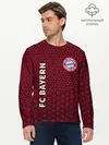 Мужской лонгслив базовый / FC BAYERN / БАВАРИЯ (P007_P004ooo2706549, P004ooo2706549)