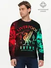Мужской лонгслив базовый / LIVERPOOL FC (P007_P004ooo2705541, P004ooo2705541)