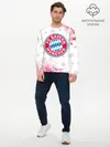 Мужской лонгслив базовый / FC BAYERN / БАВАРИЯ (P007_P004ooo2709717, P004ooo2709717)