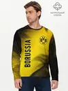 Мужской лонгслив базовый / BORUSSIA / Боруссия (P007_P004ooo2709733, P004ooo2709733)