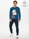 Мужской лонгслив базовый / Диппер Пайнс (P007_P004ooo2713529, P004ooo2713529)
