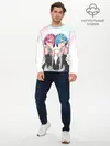 Мужской лонгслив базовый / Re:Zero, Рам и Рем (P007_P004ooo2716013, P004ooo2716013)