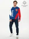 Мужской лонгслив базовый / ARSENAL / Арсенал (P007_P004ooo2718239, P004ooo2718239)