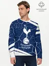 Мужской лонгслив базовый / TOTTENHAM HOTSPUR / Тоттенхэм (P007_P004ooo2722047, P004ooo2722047)