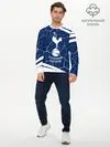 Мужской лонгслив базовый / TOTTENHAM HOTSPUR / Тоттенхэм (P007_P004ooo2722047, P004ooo2722047)