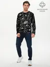 Мужской лонгслив базовый / Паутина с пауками (P007_P004ooo2730319, P004ooo2730319)