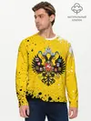 Мужской лонгслив базовый / РОССИЙСКАЯ ИМПЕРИЯ (P007_P004ooo2728991, P004ooo2728991)