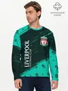 Мужской лонгслив базовый / LIVERPOOL / Ливерпуль (P007_P004ooo2731691, P004ooo2731691)