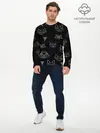 Мужской лонгслив базовый / Фигуры животных (P007_P004ooo2734177, P004ooo2734177)