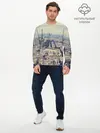Мужской лонгслив базовый / Париж (P007_P004ooo2736747, P004ooo2736747)