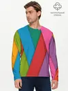 Мужской лонгслив базовый / Разноцветный узор (P007_P004ooo2738203, P004ooo2738203)
