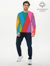 Мужской лонгслив базовый / Разноцветный узор (P007_P004ooo2738203, P004ooo2738203)