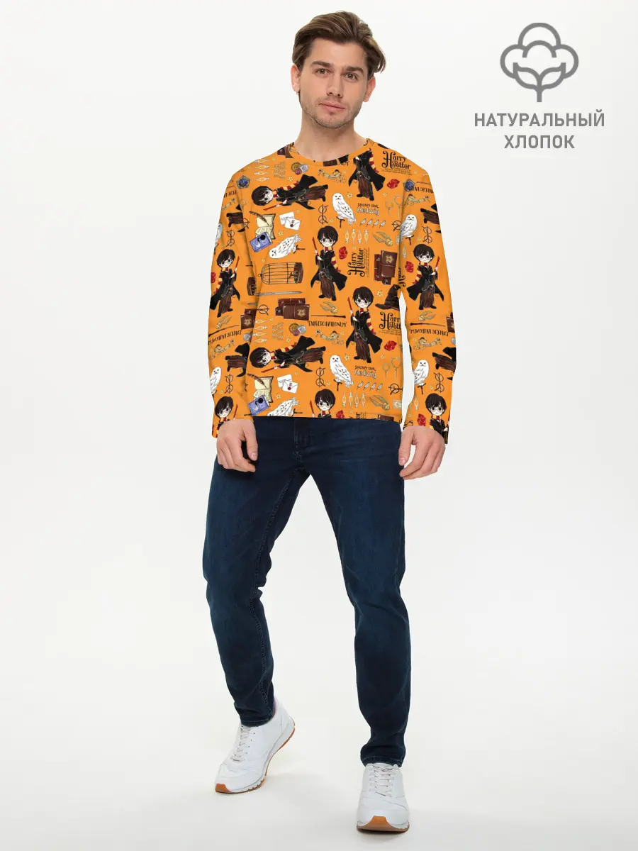 Мужской лонгслив базовый / Гарри Поттер (P007_P004ooo2738385, P004ooo2738385)