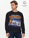 Мужской лонгслив базовый / Minecraft Dungeons (P007_P004ooo2738459, P004ooo2738459)