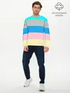 Мужской лонгслив базовый / Флаг аниме (P007_P004ooo2741781, P004ooo2741781)