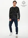 Мужской лонгслив базовый / Химические Формулы (P007_P004ooo2741661, P004ooo2741661)