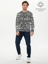 Мужской лонгслив базовый / С днём рождения (P007_P004ooo2744687, P004ooo2744687)