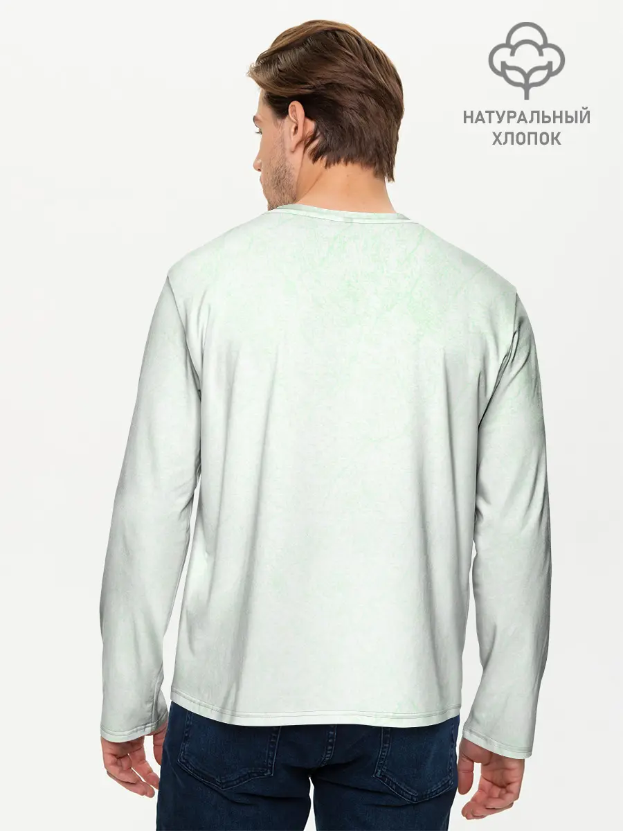 Мужской лонгслив базовый / Енот (P007_P004ooo2752695, P004ooo2752695)