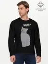 Мужской лонгслив базовый / What cat (P007_P004ooo2757159, P004ooo2757159)