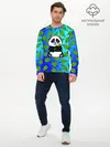 Мужской лонгслив базовый / Панда (P007_P004ooo2760919, P004ooo2760919)