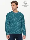 Мужской лонгслив базовый / Математика (P007_P004ooo2773151, P004ooo2773151)