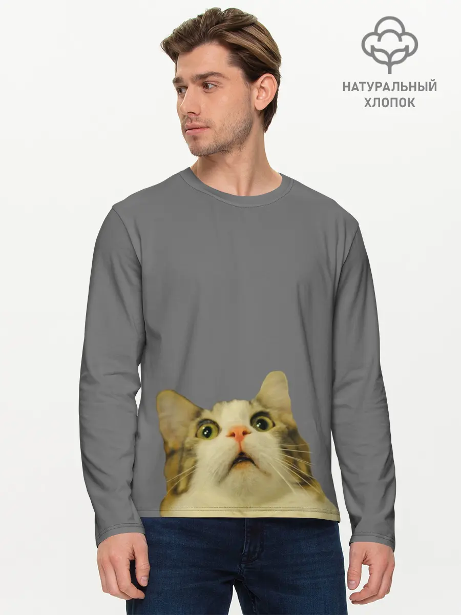 Мужской лонгслив базовый / Коте смотрит вверх (P007_P004ooo2781339, P004ooo2781339)