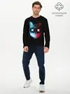Мужской лонгслив базовый / Кот XX (P007_P004ooo2784275, P004ooo2784275)
