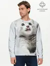 Мужской лонгслив базовый / серый котенок (P007_P004ooo2790513, P004ooo2790513)