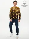 Мужской лонгслив базовый / ЗОЛОТЫЕ БЛЕСТКИ (P007_P004ooo2795321, P004ooo2795321)