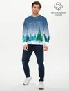 Мужской лонгслив базовый / Снежинки в лесу (P007_P004ooo2797057, P004ooo2797057)
