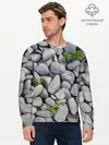 Мужской лонгслив базовый / Камни (P007_P004ooo2799417, P004ooo2799417)
