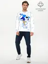 Мужской лонгслив базовый / Фигурное катание (P007_P004ooo2801559, P004ooo2801559)