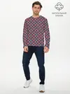 Мужской лонгслив базовый / Звезда Севера (P007_P004ooo2800399, P004ooo2800399)