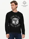Мужской лонгслив базовый / Lemarshans box (P007_P004ooo2800925, P004ooo2800925)