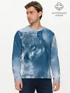 Мужской лонгслив базовый / Красивый волк (P007_P004ooo2804105, P004ooo2804105)