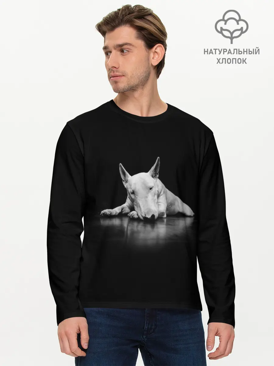 Мужской лонгслив базовый / Puppy (P007_P004ooo2805473, P004ooo2805473)