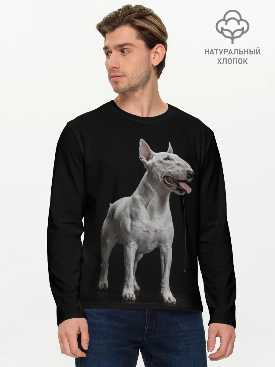 Мужской лонгслив базовый / Bully (P007_P004ooo2805539, P004ooo2805539)