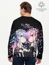 Мужской лонгслив базовый / Re:Zero, Рам и Рем (P007_P004ooo2817645, P004ooo2817645)