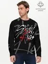 Мужской лонгслив базовый / STRAY KIDS (P007_P004ooo2819427, P004ooo2819427)