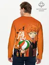 Мужской лонгслив базовый / Волебольная команда из аниме HAIKYUU!! (P007_P004ooo2829099, P004ooo2829099)