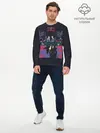 Мужской лонгслив базовый / Стальной Алхимик (P007_P004ooo2835255, P004ooo2835255)