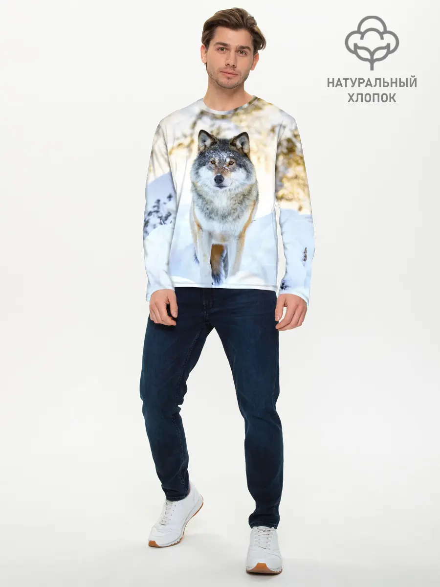 Мужской лонгслив базовый / Я зимой (P007_P004ooo2836841, P004ooo2836841)