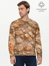 Мужской лонгслив базовый / Камни (P007_P004ooo2858707, P004ooo2858707)