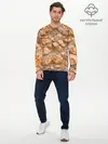 Мужской лонгслив базовый / Камни (P007_P004ooo2858707, P004ooo2858707)