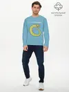 Мужской лонгслив базовый / С-с-с-сексанём? (P007_P004ooo2863153, P004ooo2863153)